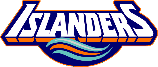 New York Islanders 1995-1998 Wordmark Logo fabric transfer